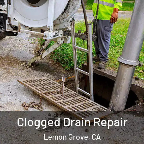  Clogged Drain Repair Lemon Grove, CA