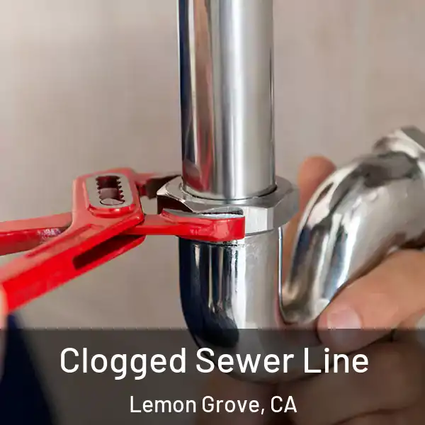  Clogged Sewer Line Lemon Grove, CA