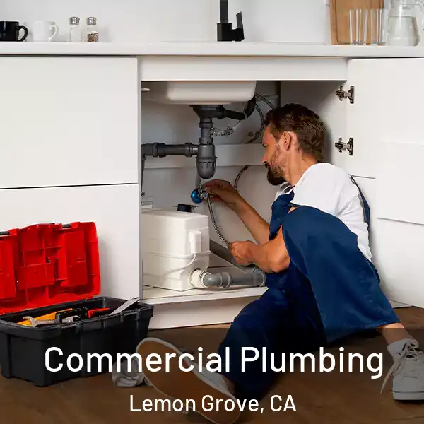  Commercial Plumbing Lemon Grove, CA