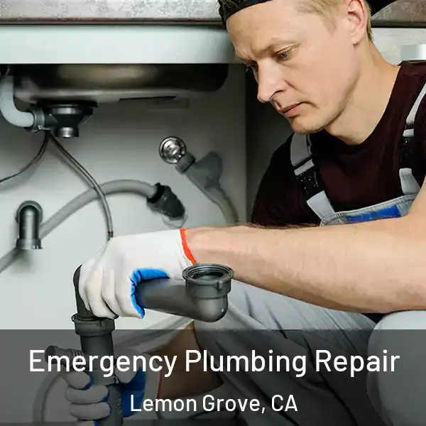  Emergency Plumbing Repair Lemon Grove, CA