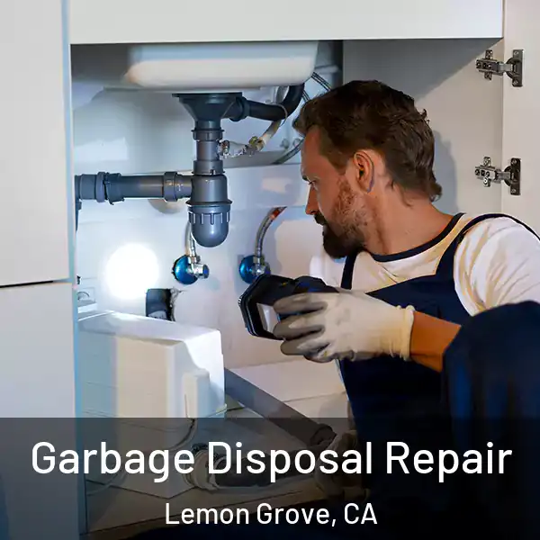  Garbage Disposal Repair Lemon Grove, CA