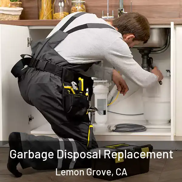  Garbage Disposal Replacement Lemon Grove, CA