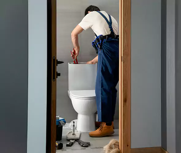Professional Plumbers for Toilet Bowl Replacement in Lemon Grove, CA: Schedule Affordable Toilet Replacement Services With Us