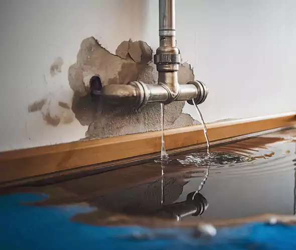 Professional Water Damage Restoration Experts in Lemon Grove, CA — Fast, Reliable & Certified