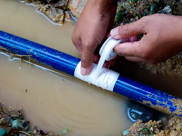 Why Choose Plumbing Lemon Grove for Leak Detection in Lemon Grove, CA?]