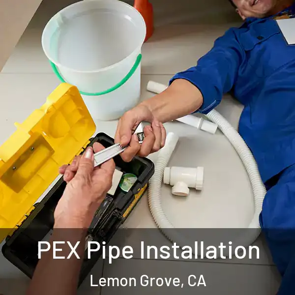  PEX Pipe Installation Lemon Grove, CA