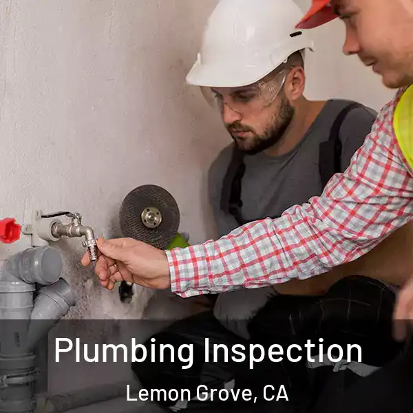  Plumbing Inspection Lemon Grove, CA