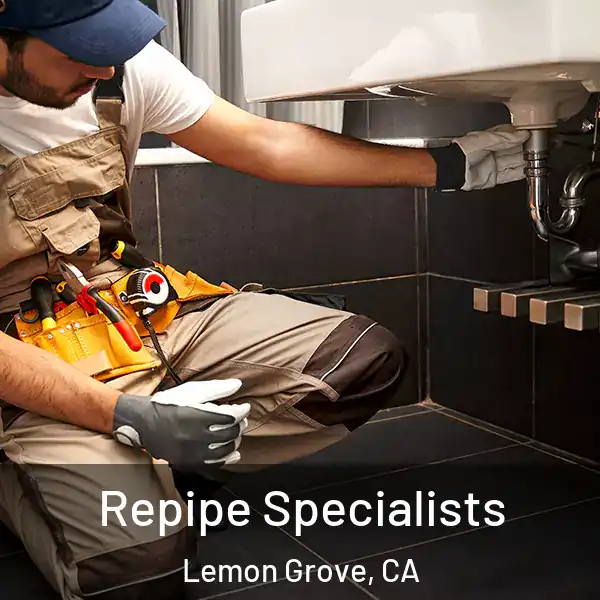  Repipe Specialists Lemon Grove, CA