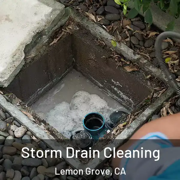  Storm Drain Cleaning Lemon Grove, CA