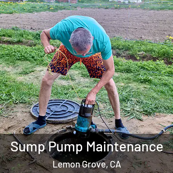  Sump Pump Maintenance Lemon Grove, CA