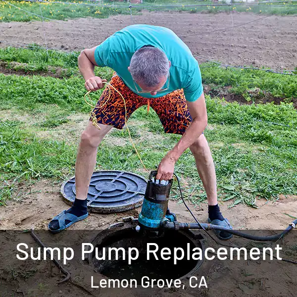  Sump Pump Replacement Lemon Grove, CA
