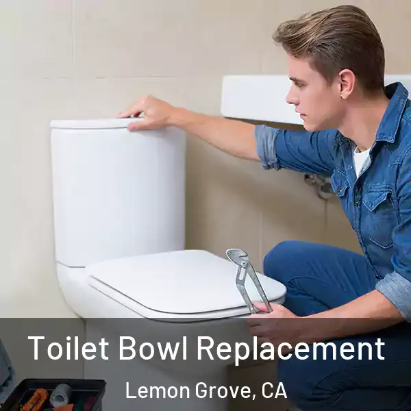  Toilet Bowl Replacement Lemon Grove, CA