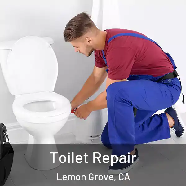  Toilet Repair Lemon Grove, CA