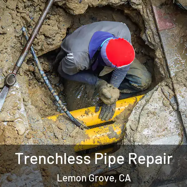  Trenchless Pipe Repair Lemon Grove, CA
