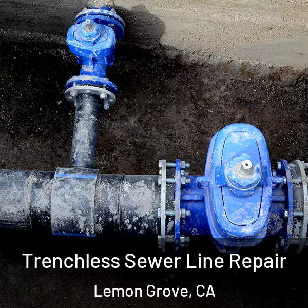  Trenchless Sewer Line Repair Lemon Grove, CA
