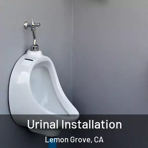  Urinal Installation Lemon Grove, CA