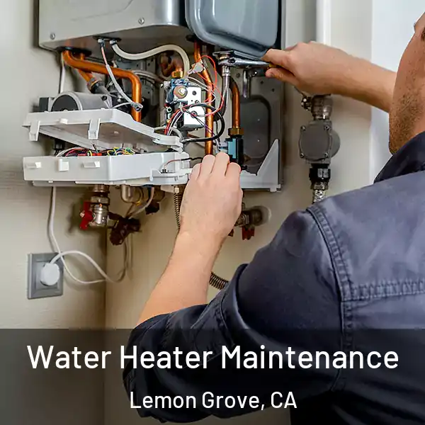  Water Heater Maintenance Lemon Grove, CA