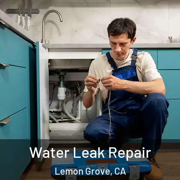  Water Leak Repair Lemon Grove, CA